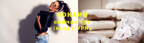 тгк Богородицк