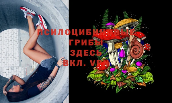 герыч Богданович